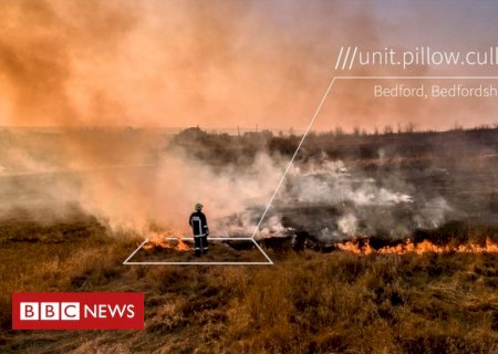 What3words: como um aplicativo usa três palavras para salvar vidas