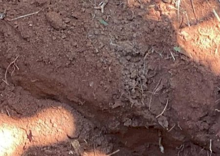 Mistério Resolvido: Corpo do Engenheiro Agrônomo Elói Brussamerello é Encontrado em Cerro Cora no PY