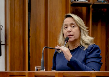 A pedido de Lia Nogueira, poluição causada por empresa em Itaporã vira alvo de ação judicial