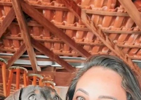 Falsa denúncia anônima sobre mortandade de gatos não é confirmada em Pedro Juan