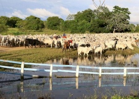 Fazenda à venda por R$ 3,5 bilhões em MS é a 4ª mais cara do Brasil