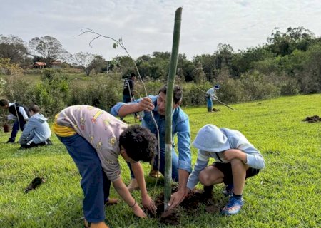 Educação ambiental: VICENTINA planta consciência para garantia de um futuro sustentável