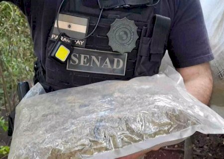 Polícia fecha laboratório de produção de skunk na fronteira de MS