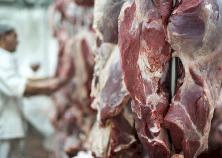 Exportações de MS somam US$ 7,24 bilhões até agosto e carne bovina cresce 43,7% no acumulado do ano