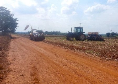 Homem morre após ser picado por abelhas quando plantava soja em Fátima do Sul
