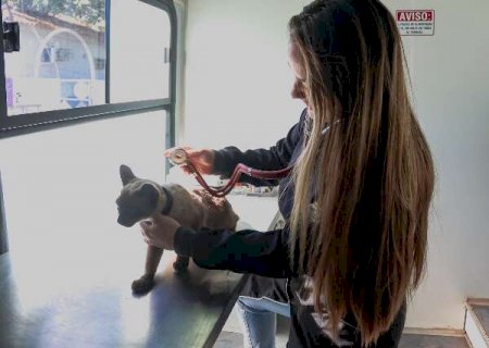 Pets ter&atilde;o atendimento gratuito na Pra&ccedil;a do Papa a partir de segunda-feira