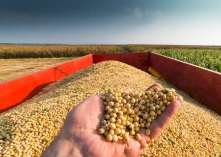 Exportações brasileiras do agronegócio representam 50,2% do total exportado pelo Brasil em maio