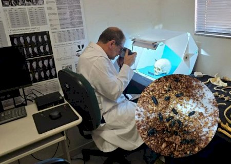 Pesquisa de Dourados identifica nova prova científica para esclarecer homicídios com corpos em decomposição