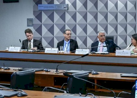 Defensores pedem regras mais rígidas para publicidade das bets 