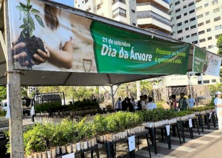 Prefeitura distribui 10 mil mudas de &aacute;rvores frut&iacute;feras neste s&aacute;bado