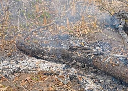 Multado em R$ 21 milh&otilde;es, industri&aacute;rio &eacute; investigado por queimada